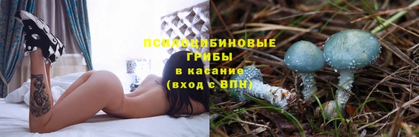 тгк Вязьма
