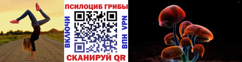 как найти   Верхняя Пышма  Псилоцибиновые грибы прущие грибы 