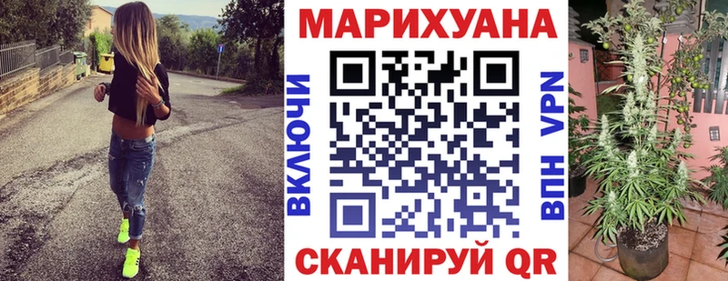 купить наркоту Верхняя Пышма Канабис Amnesia
